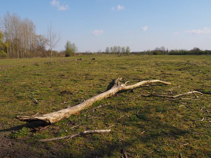 Kalkense Meersen (België)